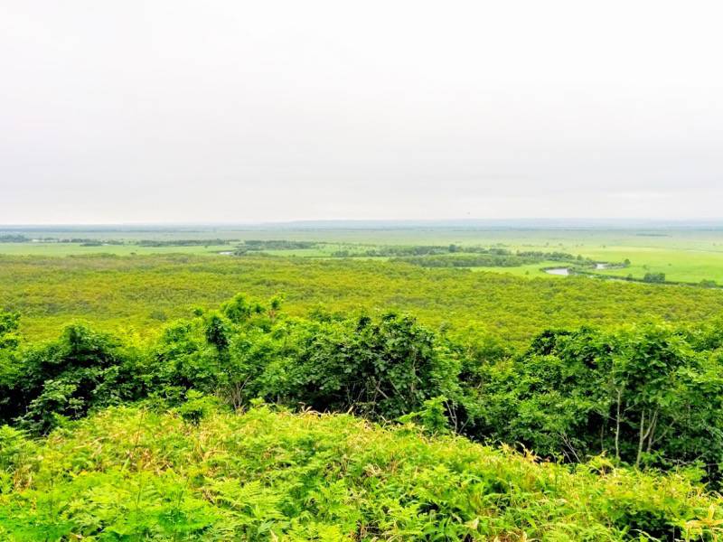 細岡展望台からの眺め1.jpg 細岡展望台からの眺め1