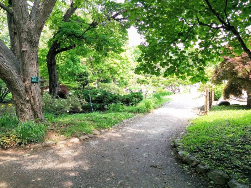 中島公園-日本庭園園内5.jpg 中島公園 日本庭園園内5