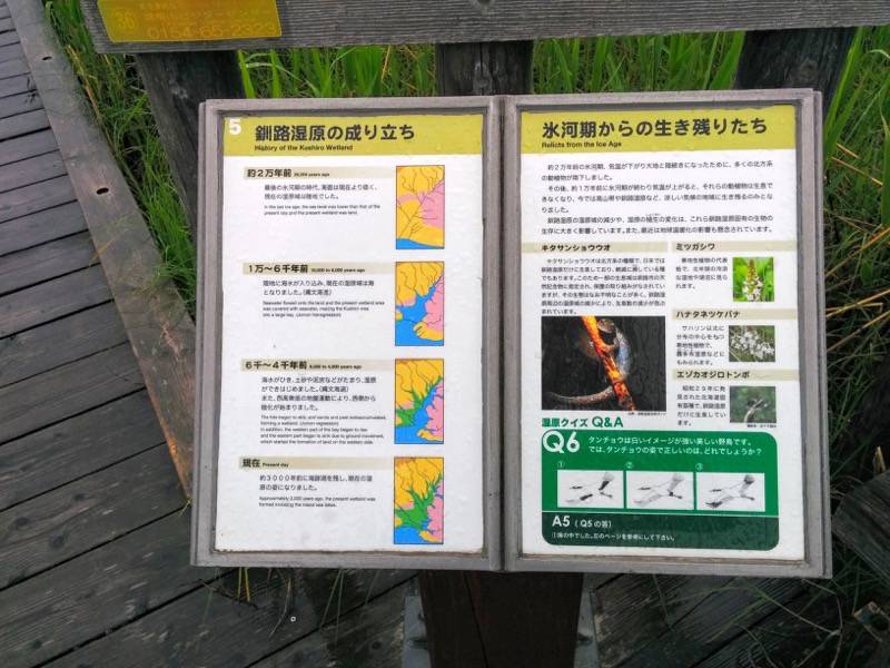 温根内木道5.jpg 温根内木道5