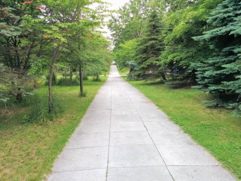 モエレ沼公園-サクラの森4.jpg モエレ沼公園 サクラの森4