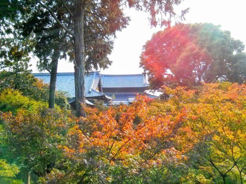 東福寺 開山堂付近よりの方丈