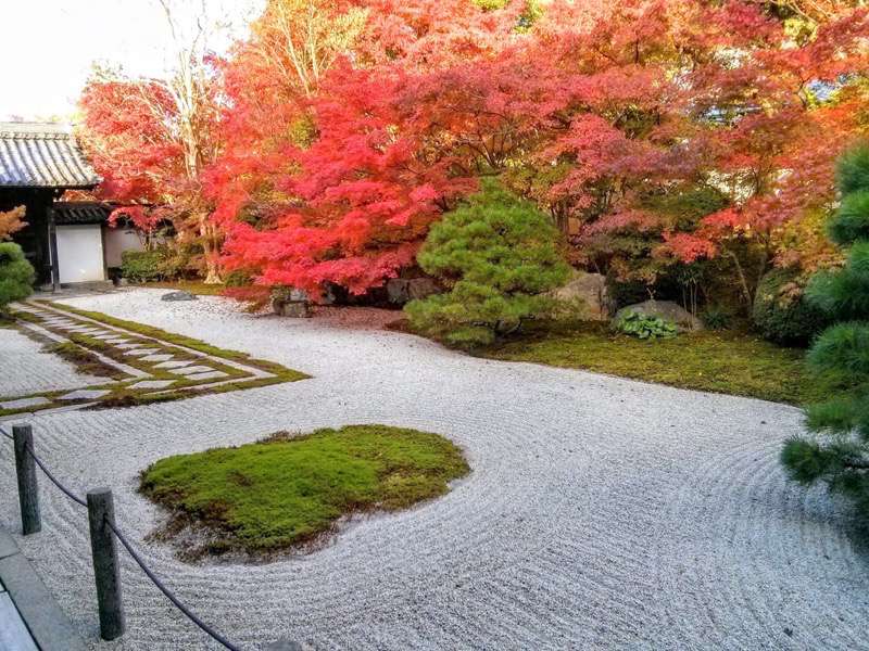 南禅寺 天授庵本堂前庭６