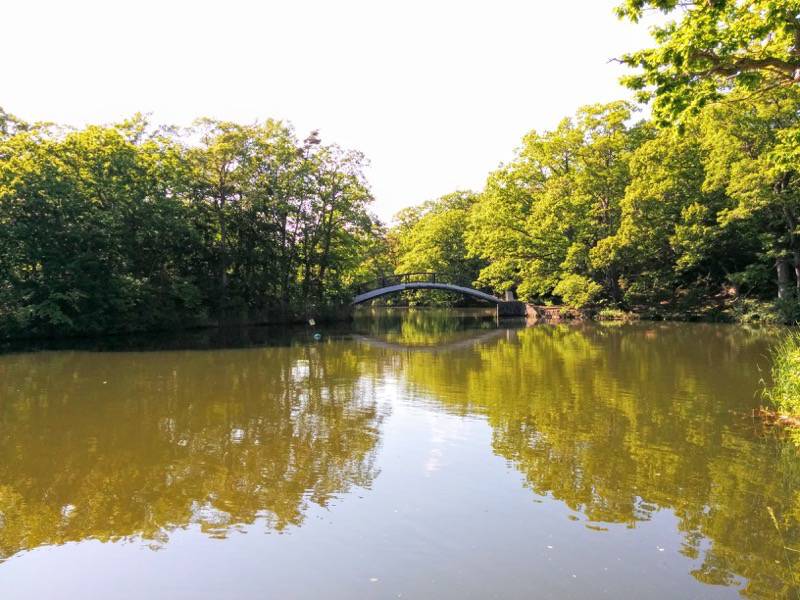 大沼公園-島巡りの路-八め橋から後楽橋までより八つ橋.jpg 大沼公園 島巡りの路 八め橋から後楽橋までより八つ橋