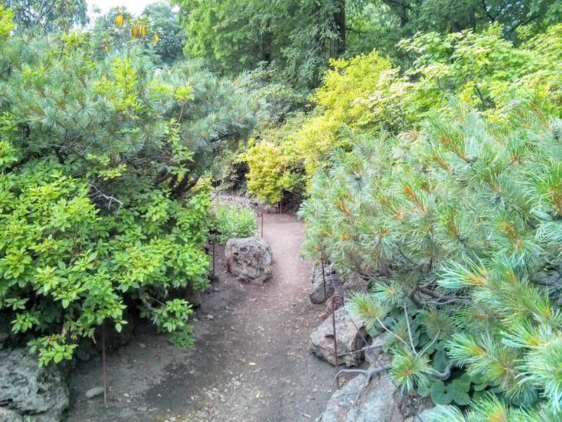 北海道大学植物園 カナディアンロックガーデン１９