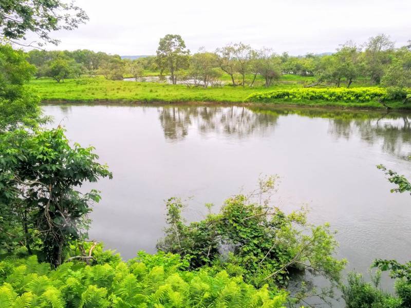 塘路駅・細岡駅間4.jpg 塘路駅 細岡駅間4