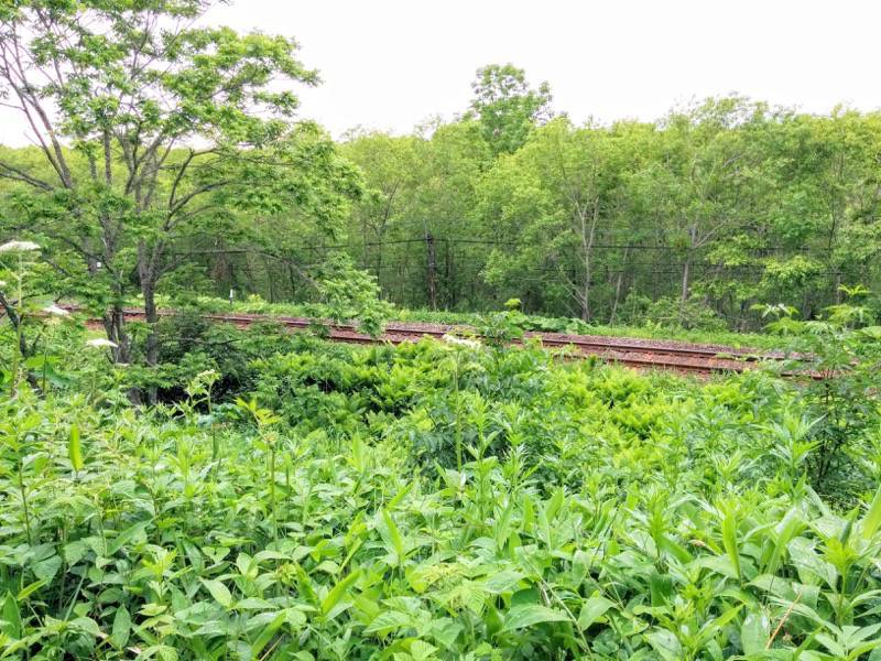釧路湿原駅から駐車場2.jpg 釧路湿原駅から駐車場2