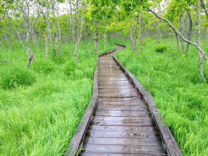 温根内木道8−6.jpg 温根内木道8−6