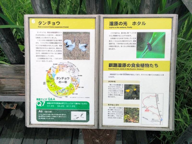 温根内木道6.jpg 温根内木道6