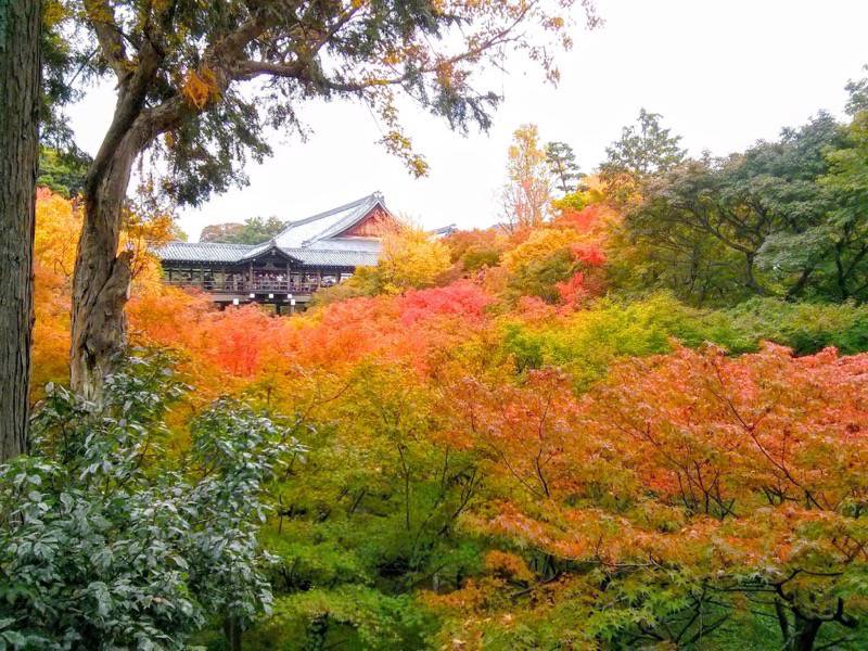 東福寺 臥雲橋から１