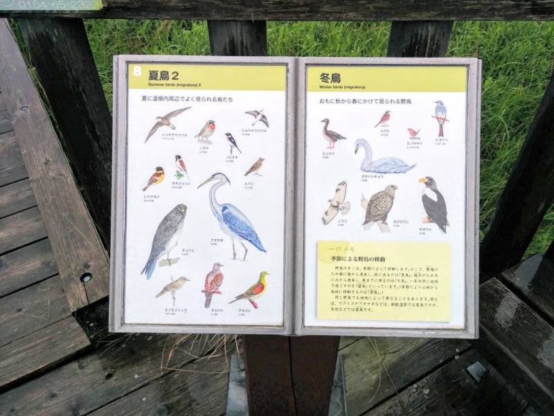 温根内木道8.jpg 温根内木道8