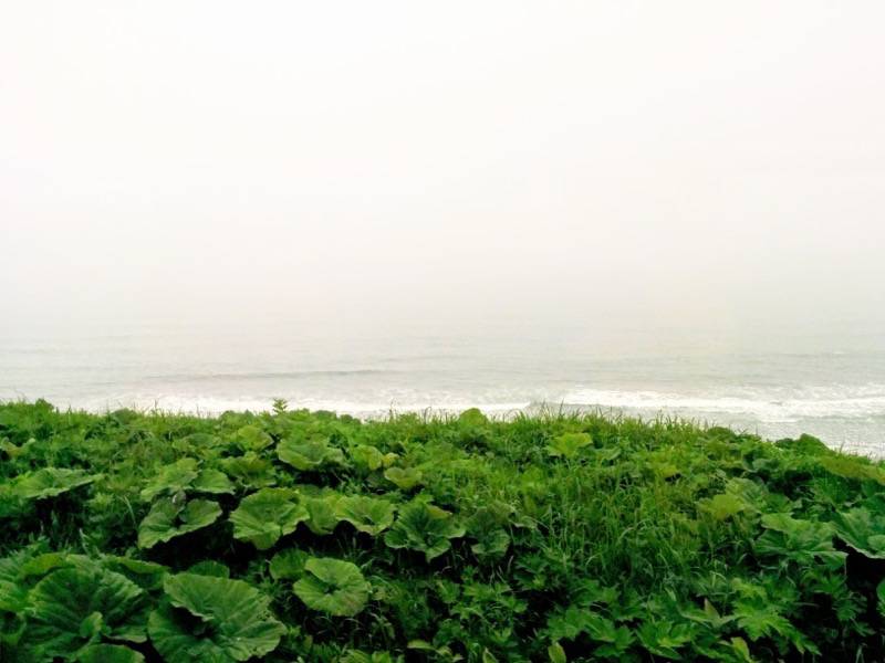 釧路〜根室-根室の海.jpg 釧路 根室 根室の海