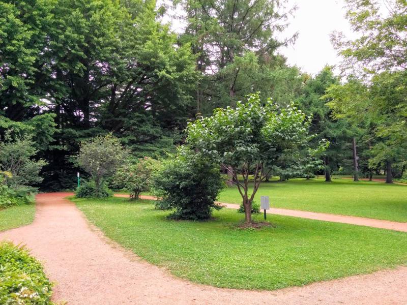 北海道大学植物園-宮部金吾記念館付近2.jpg 北海道大学植物園 宮部金吾記念館付近2