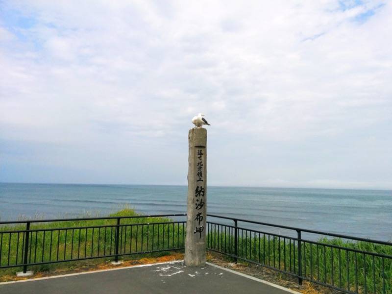 納沙布岬 かもめ１