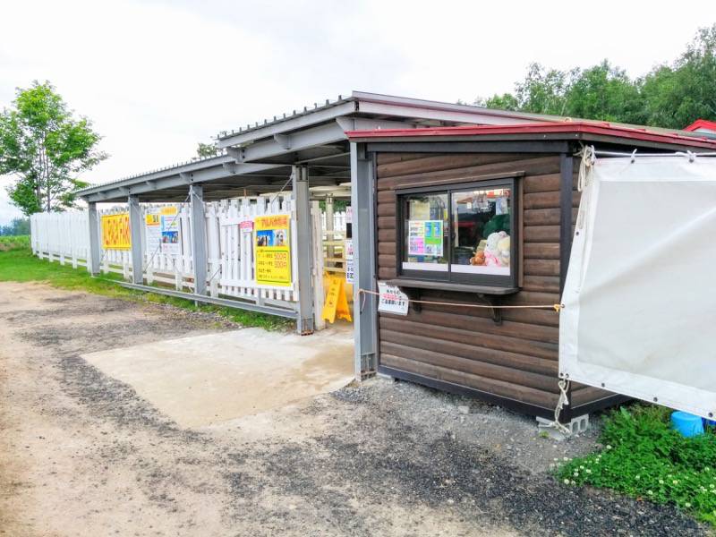 美瑛 四季彩の丘アルパカ牧場