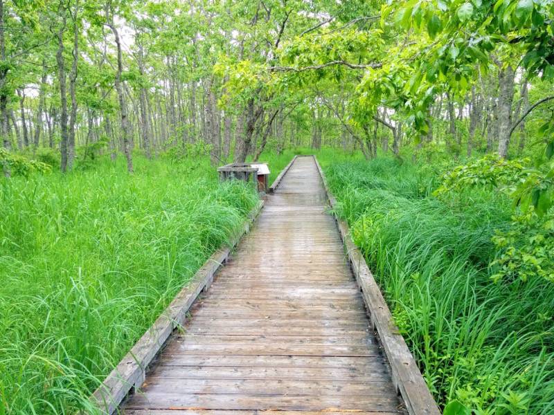 温根内木道1−4.jpg 温根内木道1−4