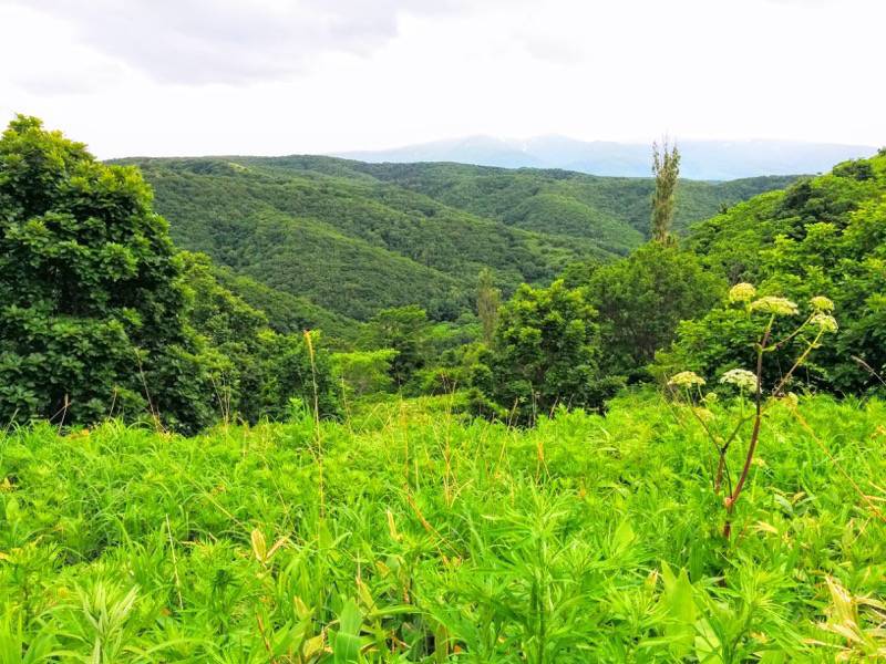 積丹岬 自然遊歩道１４
