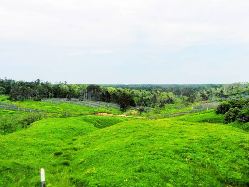 釧路〜根室-厚岸・根室間の湿原7.jpg 釧路 根室 厚岸 根室間の湿原7