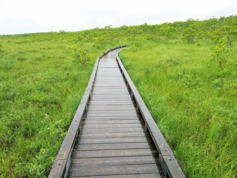 温根内木道8−3.jpg 温根内木道8−3