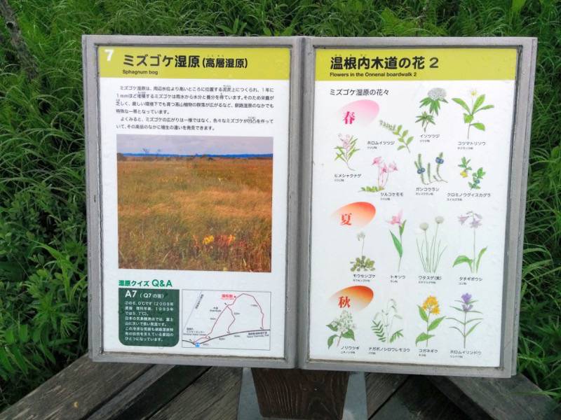 温根内木道7.jpg 温根内木道7