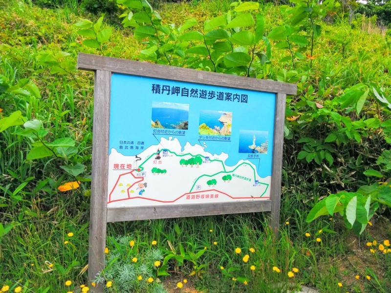 積丹岬 自然遊歩道１