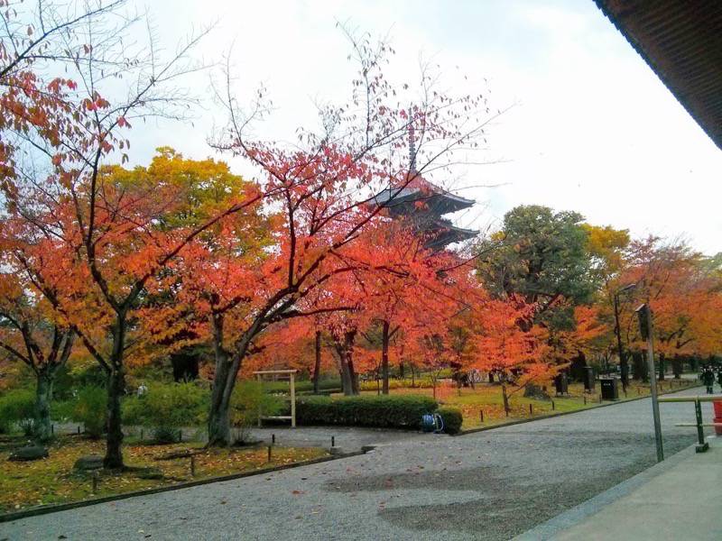 東寺 五重塔前４