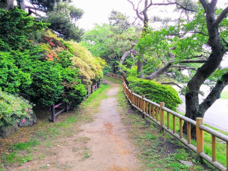 函館公園 園内歩道３