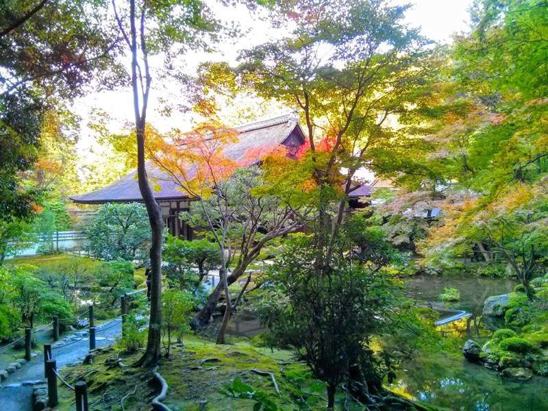 南禅寺 南禅院庭園９