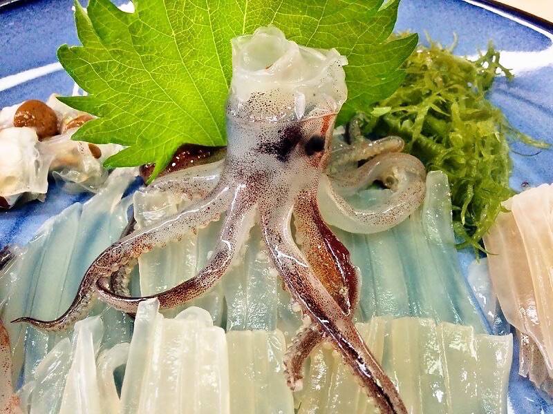 一花亭たびじ-ゲソ1.jpg 一花亭たびじ ゲソ1