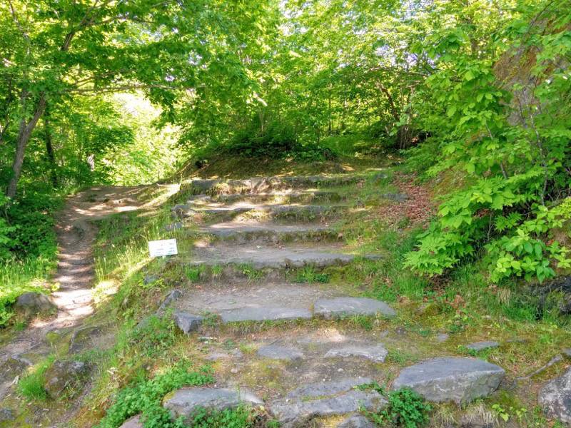 大沼公園-大島の路-東大島2.jpg 大沼公園 大島の路 東大島2