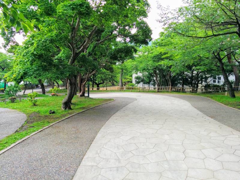 函館公園 園内歩道９