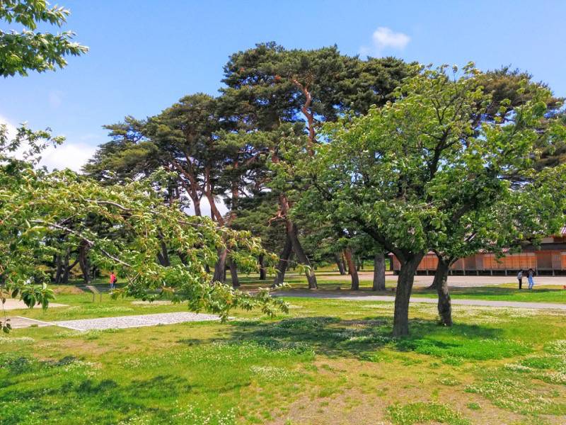 五稜郭公園-敷地内3.jpg 五稜郭公園 敷地内3