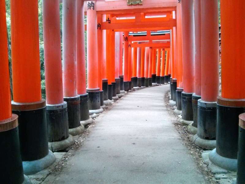 伏見稲荷 千本鳥居４