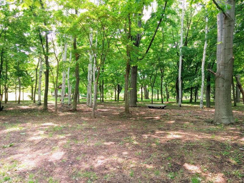 中島公園 園内風景１０