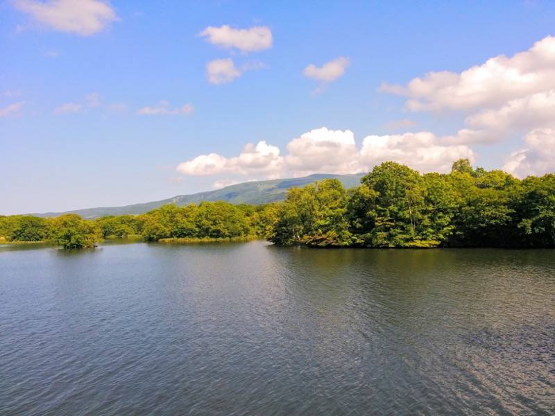 大沼公園-島巡りの路-公魚島より3.jpg 大沼公園 島巡りの路 公魚島より3