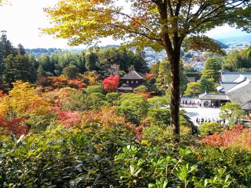 銀閣寺-山道から見た観音殿.jpg 銀閣寺 山道から見た観音殿