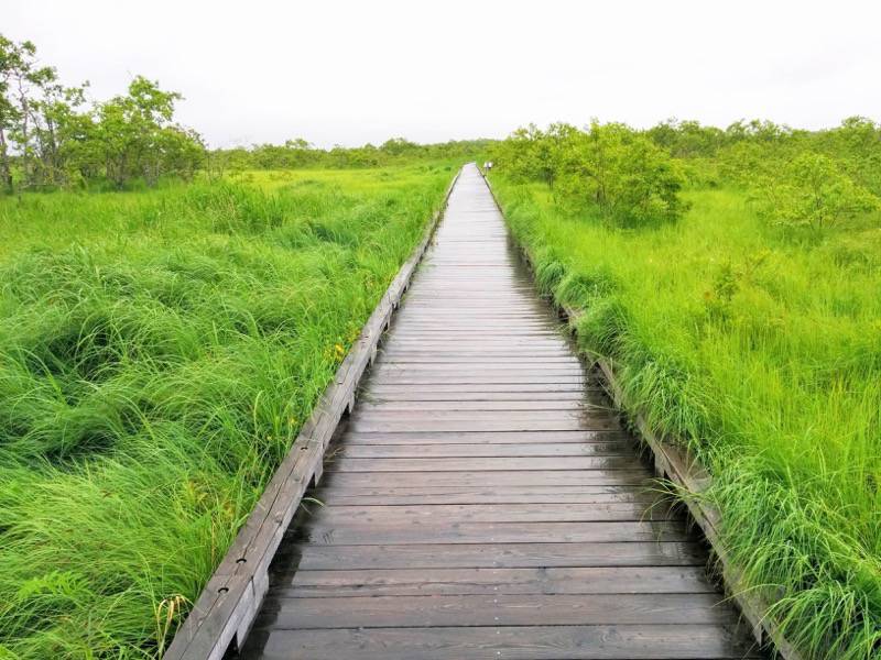 温根内木道3−2.jpg 温根内木道3−2