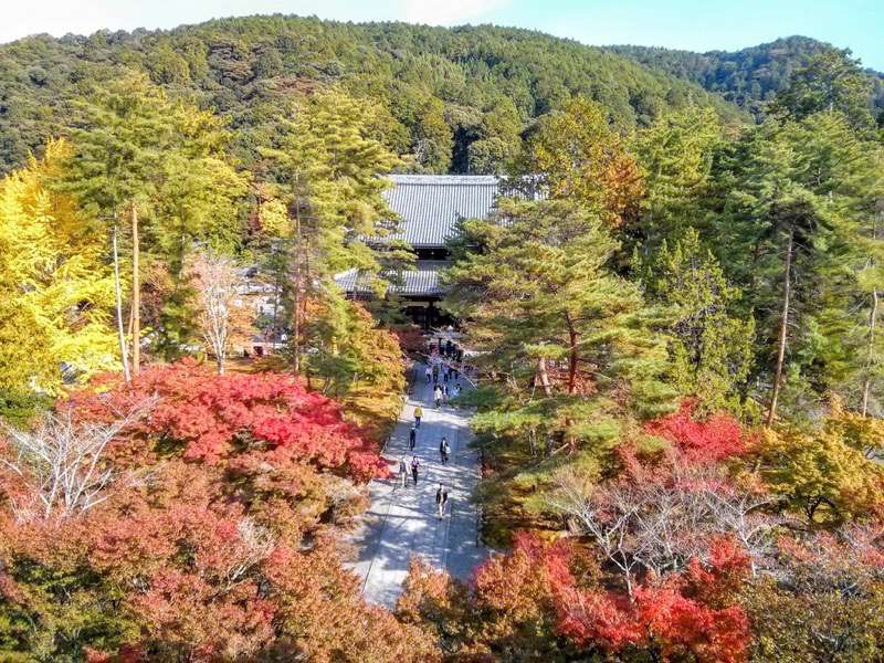 南禅寺-三門からの眺め東側1.jpg 南禅寺 三門からの眺め東側1