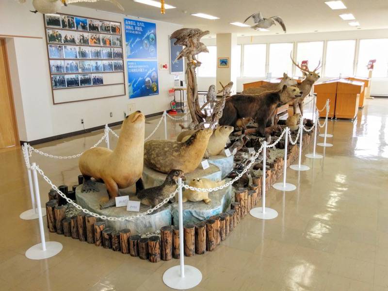 納沙布岬望郷の家 ２F動物たち