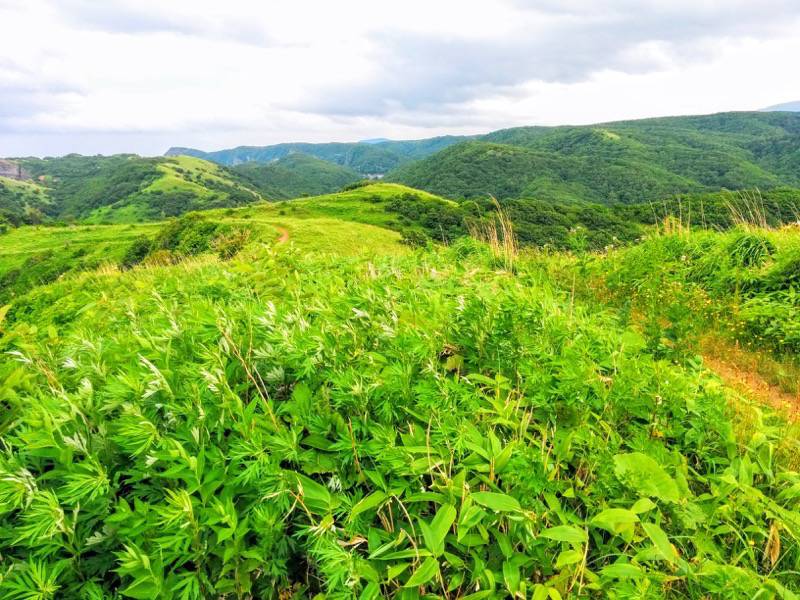 積丹岬 自然遊歩道９