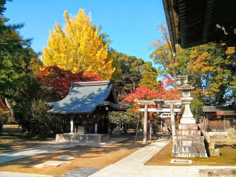 北野天満宮-紅葉.jpg 北野天満宮 紅葉