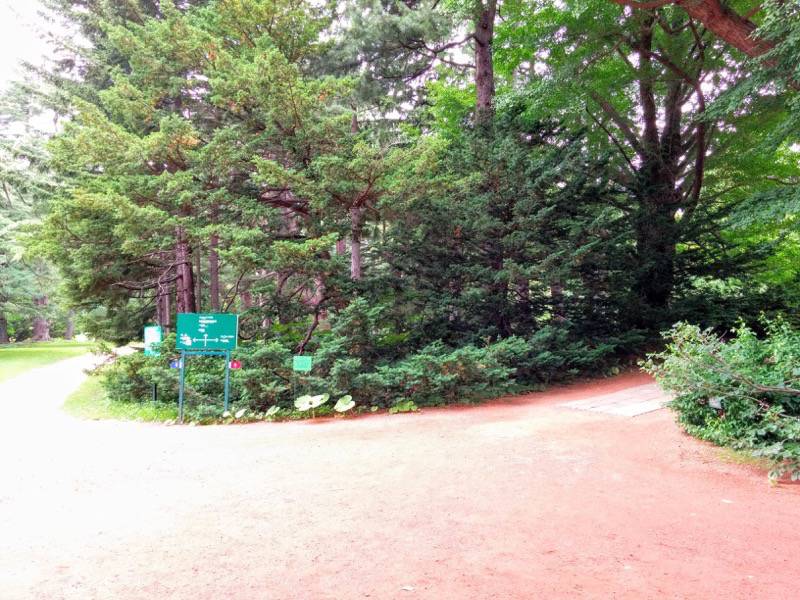 北海道大学植物園-入園ゲート付近2.jpg 北海道大学植物園 入園ゲート付近2