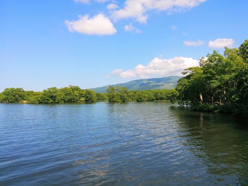 大沼公園-島巡りの路-長島より2.jpg 大沼公園 島巡りの路 長島より2