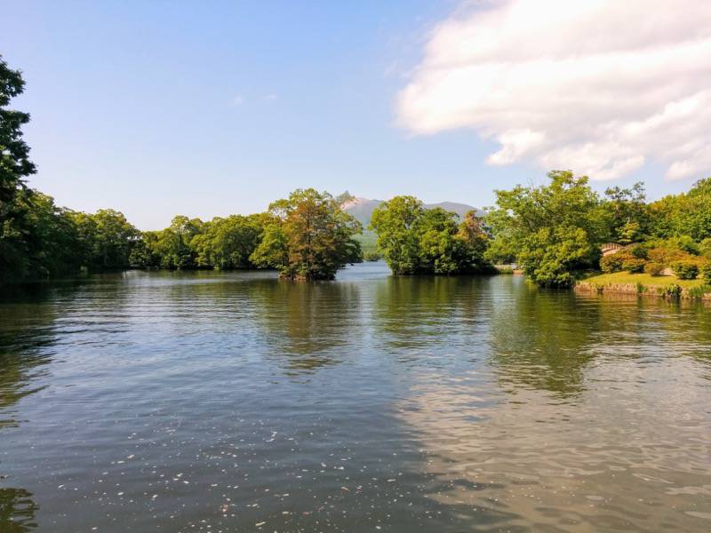 大沼公園-公園広場より2.jpg 大沼公園 公園広場より2