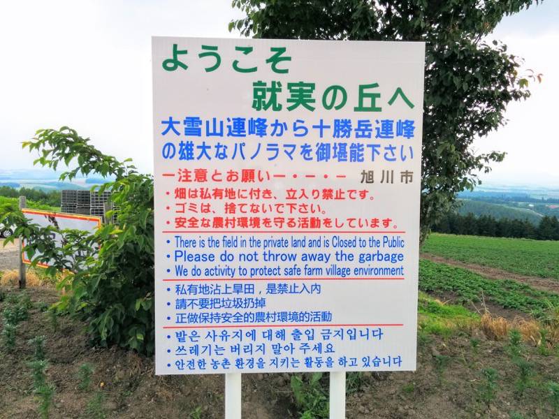 美瑛 就実の丘看板１