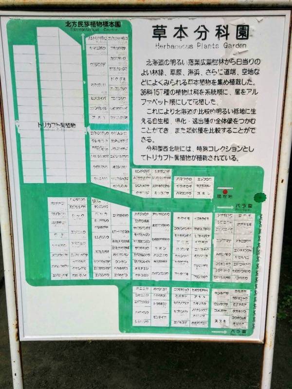 北海道大学植物園 草本分科園図