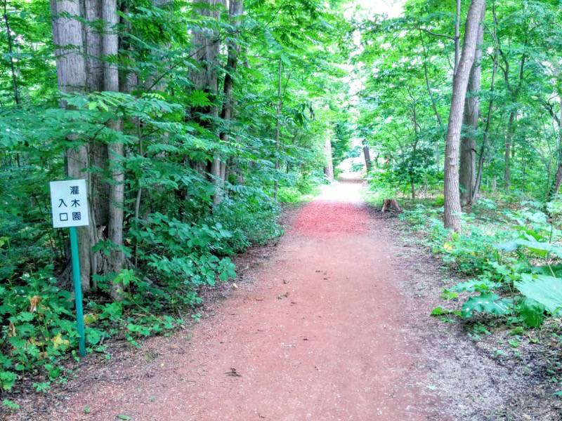 北海道大学植物園 灌木園入口