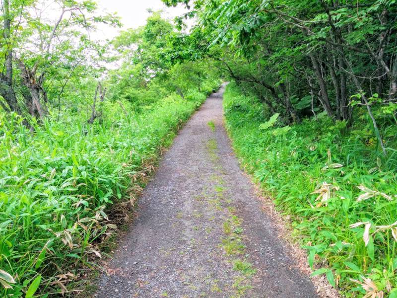 釧路湿原駅から駐車場1.jpg 釧路湿原駅から駐車場1