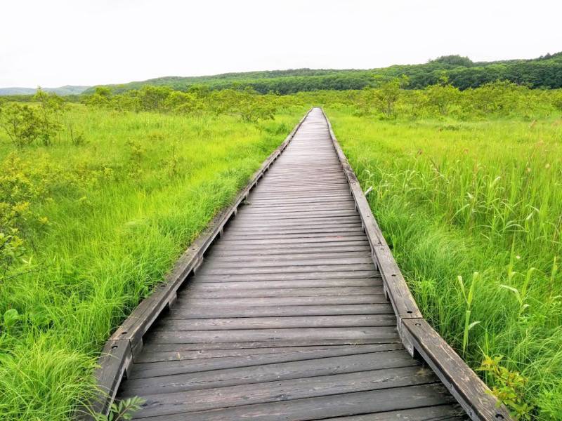 温根内木道11−1.jpg 温根内木道11−1