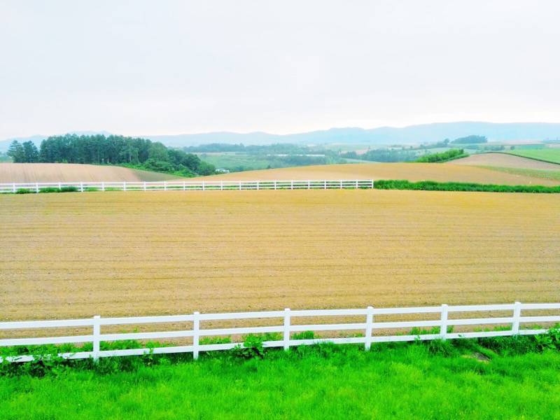 美瑛 新栄の丘２