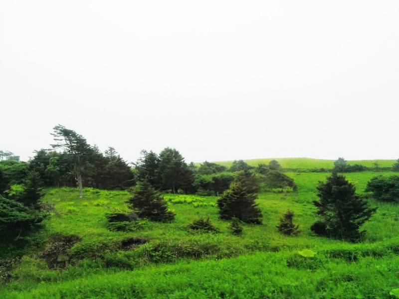 釧路〜根室-厚岸・根室間の湿原12.jpg 釧路 根室 厚岸 根室間の湿原12